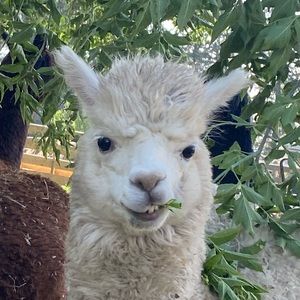 Meet your Posher, Jon